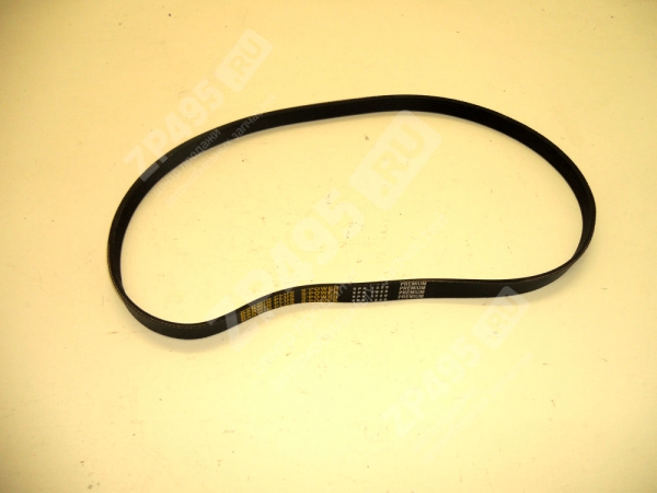 : 6PK1220 0015204  1220 DARWIN PLUS   /406-1308020-11/ (, ,,,,, , NEXT, NEXT) lipetsk.zp495.ru