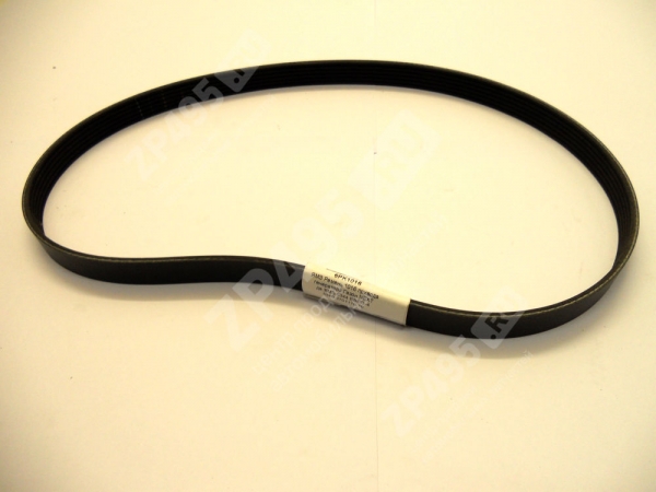 : 6PK1016 0024629       next .-5344 -4 RUBENA 5340-3701170-10 (, ,,,,, , NEXT, NEXT) lipetsk.zp495.ru