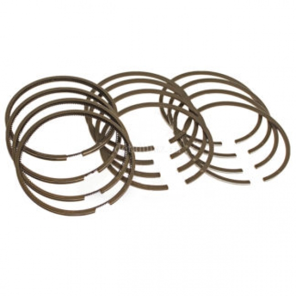 : KNG100010079 0069946   . - 101,0 mm   . -4216; EURO-IV 42164.1004023-, 4216-40-1004023- lipetsk.zp495.ru
